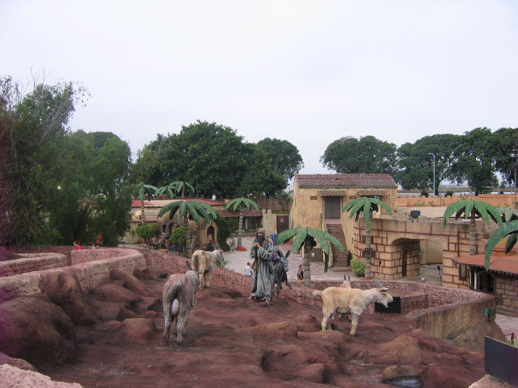 Tierra Santa  Trip Packages