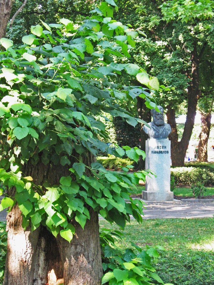 The Sea Garden Trip Packages