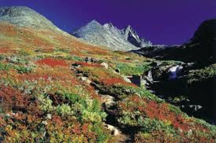 Breheimen National Park Trip Packages