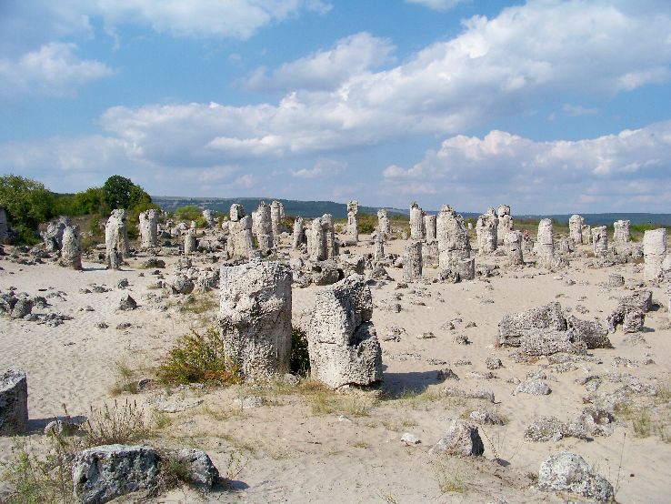 Stone Forest  Trip Packages