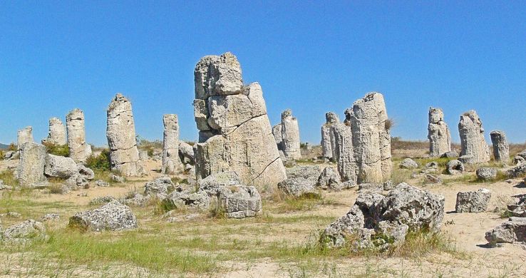 Stone Forest  Trip Packages