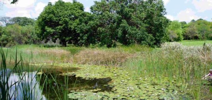 National Botanic Garden Trip Packages