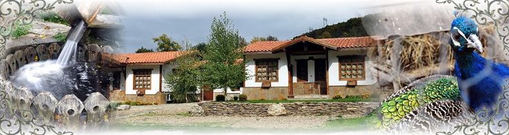 Barite Complex Trip Packages Barite Complex Trip Packages