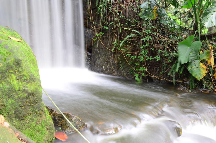 Bogota Botanical Garden Trip Packages