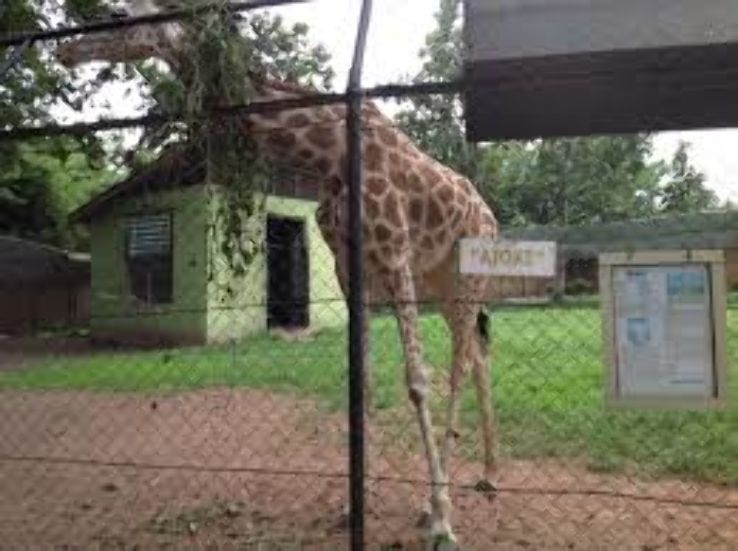 UI Zooogical Garden Ibadan Trip Packages