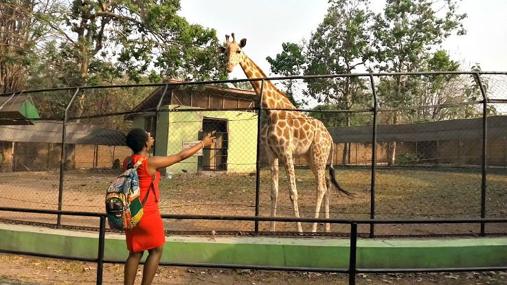 UI Zooogical Garden Ibadan Trip Packages