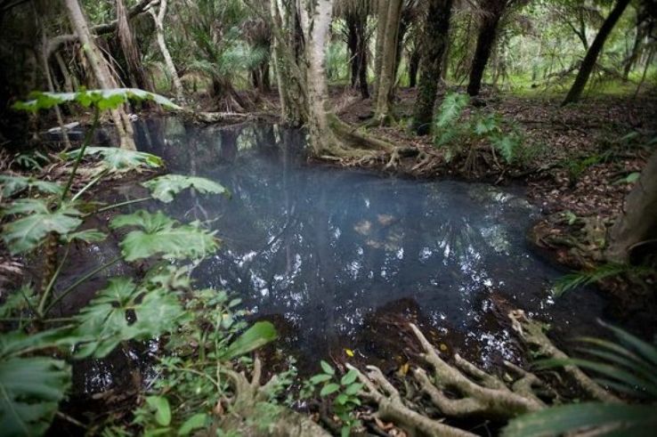 Aguas Termales San Jose  Trip Packages