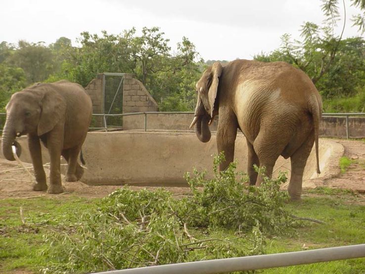 Wildlife Safari Park in plateau Nigeria - reviews, best time to visit