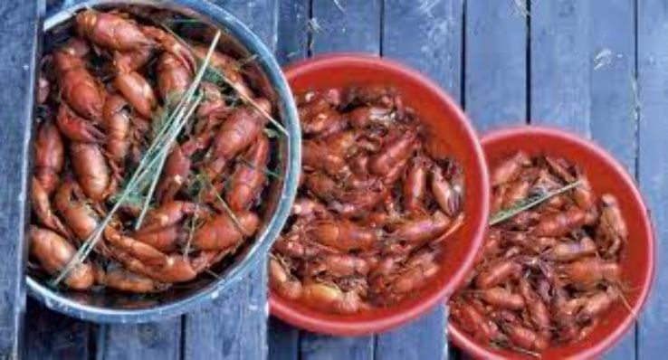 Crayfish party Trip Packages