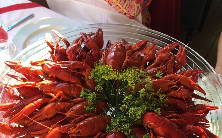 Crayfish party Trip Packages