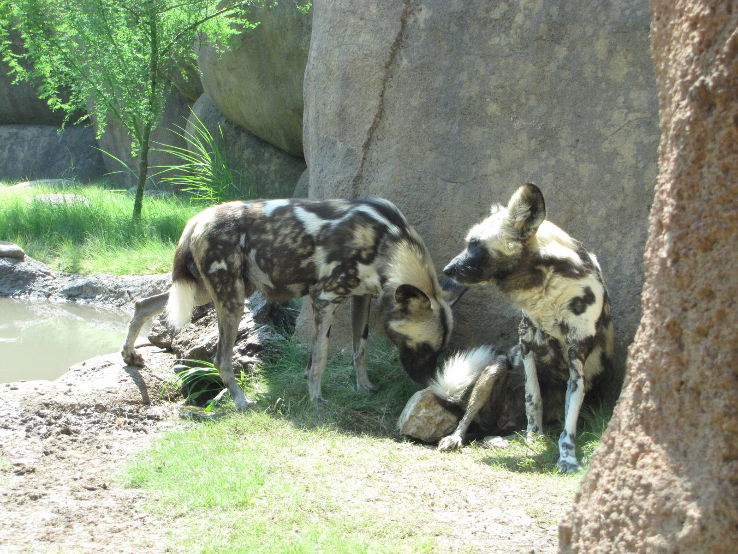 Zoos and Theme Parks Trip Packages