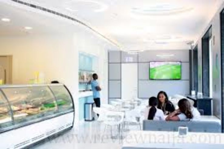 Vapors Trip Packages