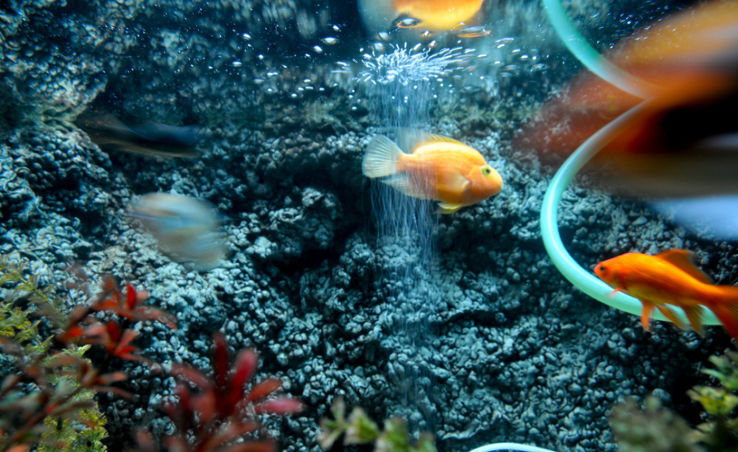 Acuario Municipal  Trip Packages