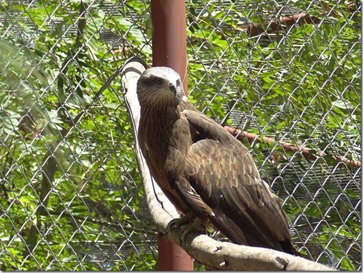 Munda Wanga Environmental Park Trip Packages