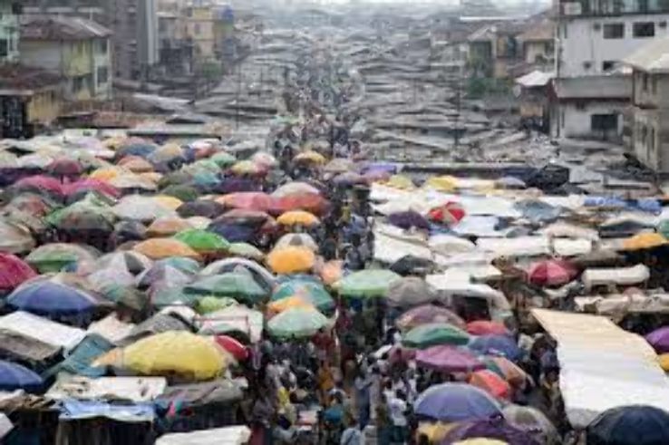 Mile One Market Trip Packages