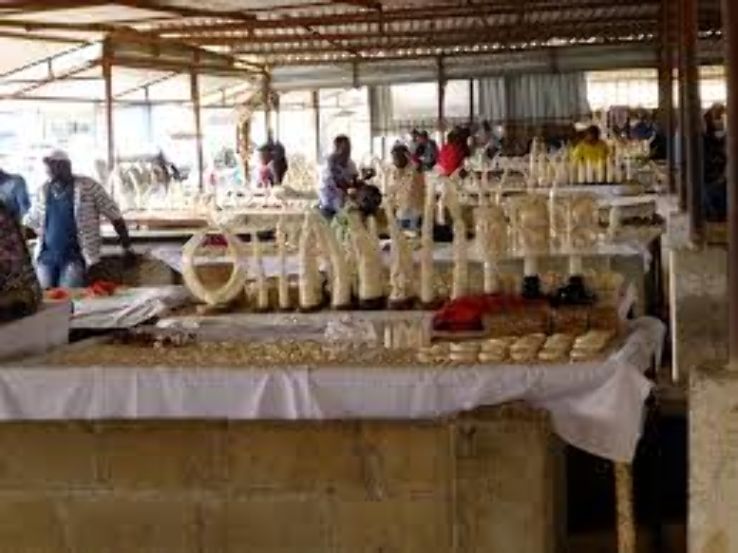 Benfica Market  Trip Packages