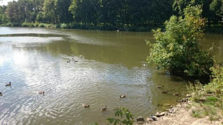 P. Belousov Central Park of Culture and Recreation Trip Packages