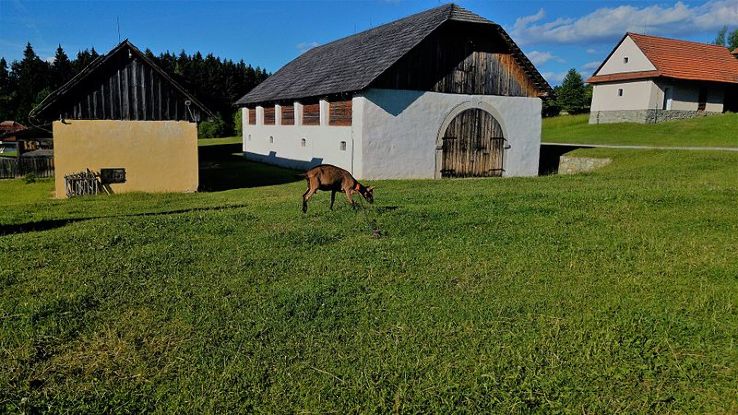 Museum of the Slovak Village Trip Packages