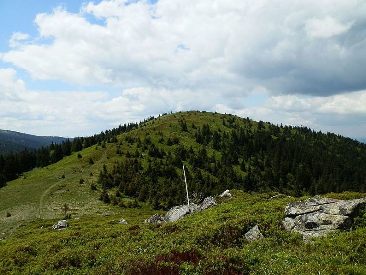 Mincol Trip Packages