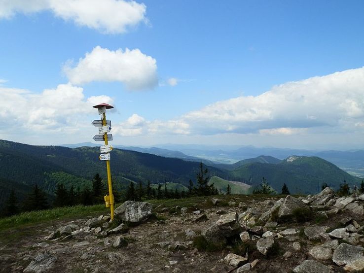 Mincol Trip Packages