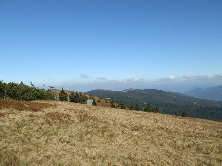 Mincol Trip Packages