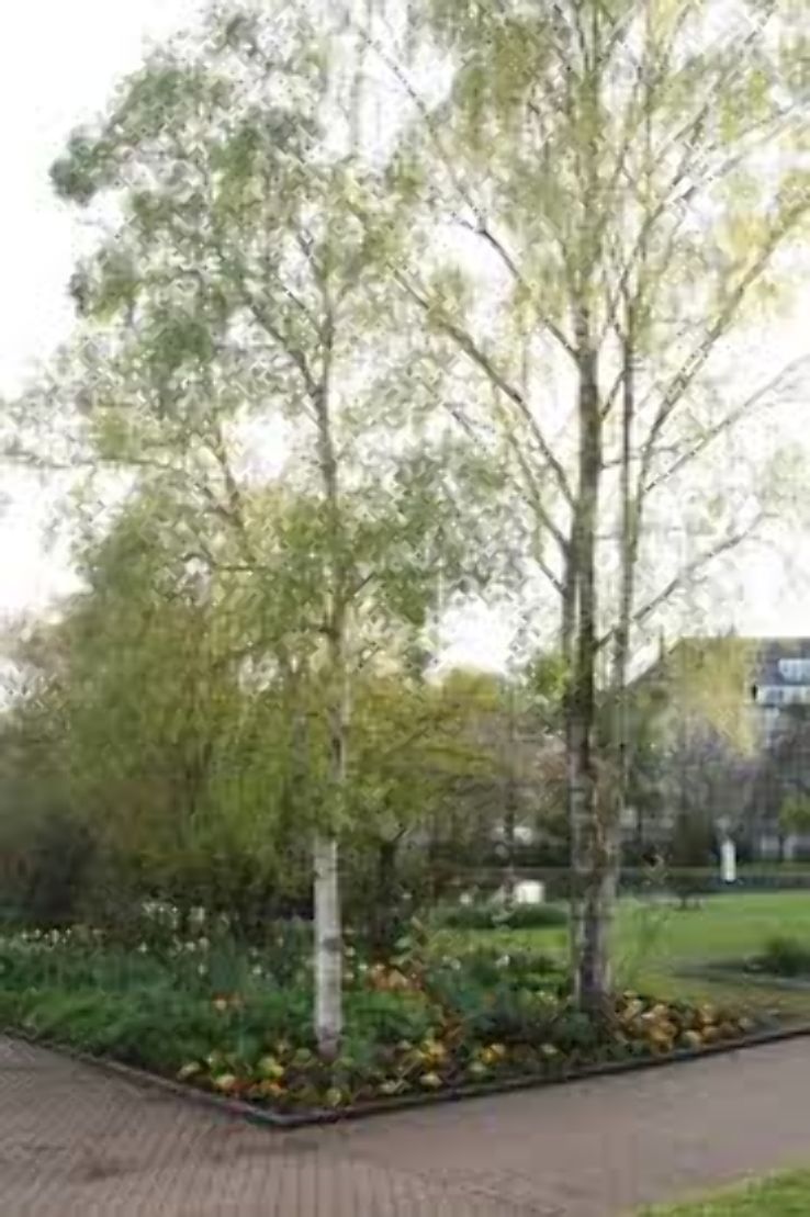 Parc Merl Trip Packages