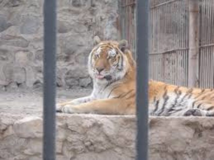 Yerevan Zoo  Trip Packages