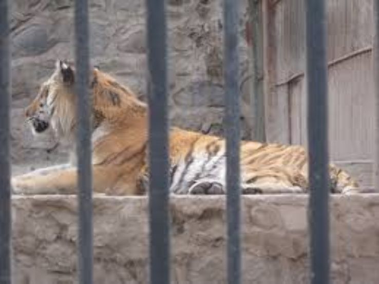 Yerevan Zoo  Trip Packages