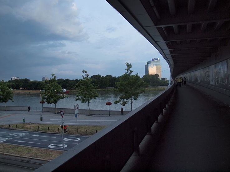 Most SNP Trip Packages