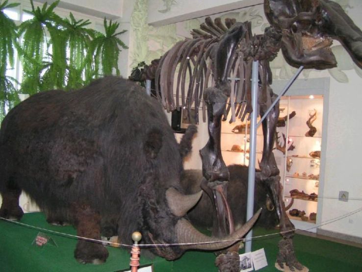 Kuznetsov Regional Museum Trip Packages