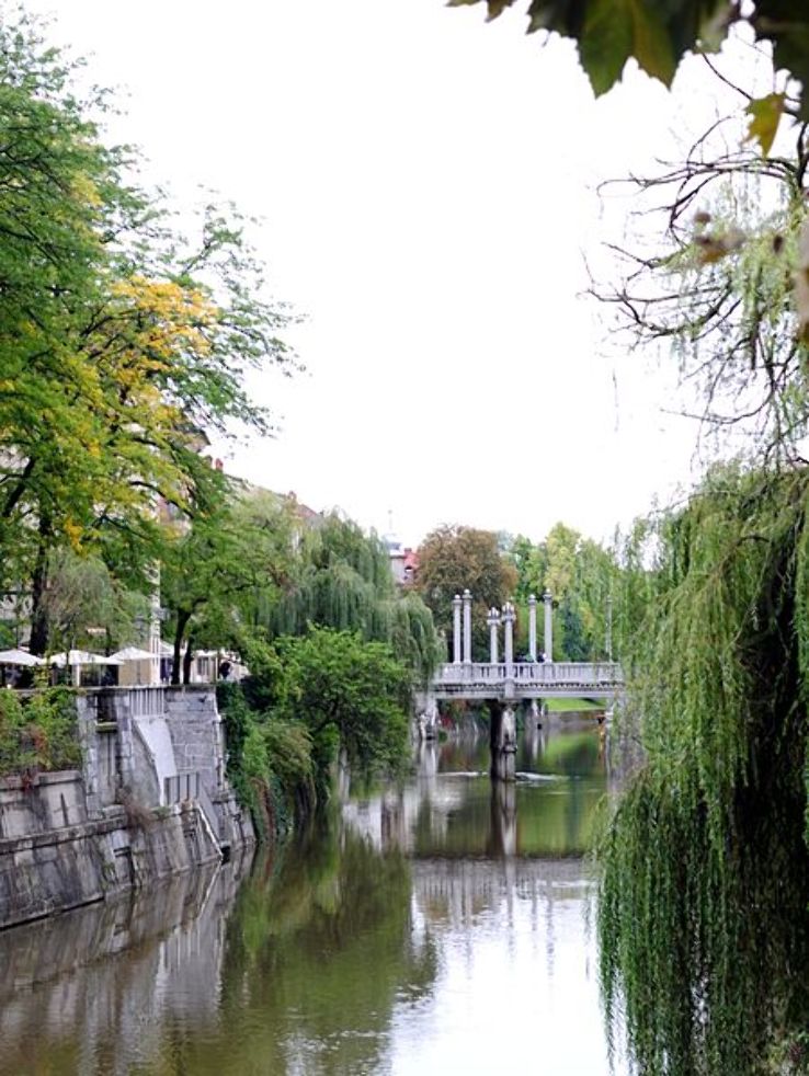 Cobblers Bridge Trip Packages