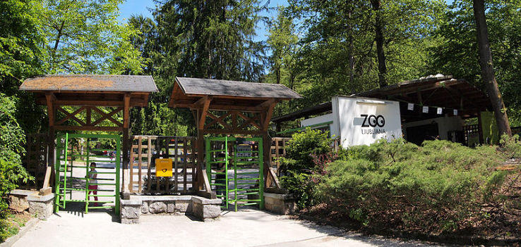 Ljubljana Zoo Trip Packages