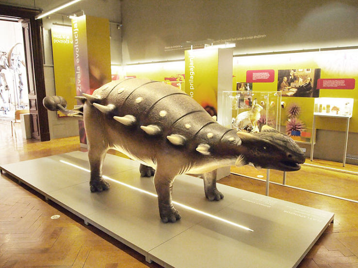 Slovenian Museum of Natural History Trip Packages