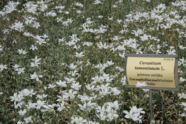 Ljubljana Botanical Garden Trip Packages