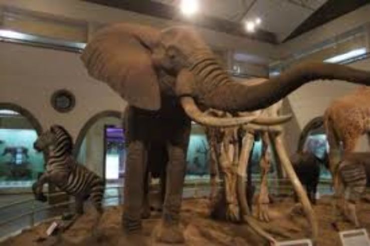 National Museum of Somalia  Trip Packages