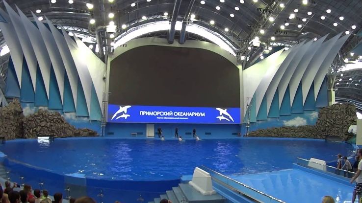 Primorsky Aquarium Trip Packages