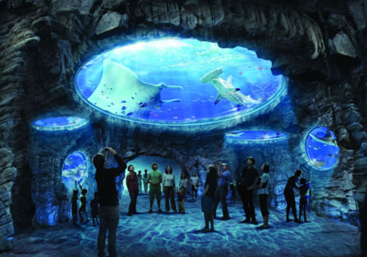 Primorsky Aquarium Trip Packages