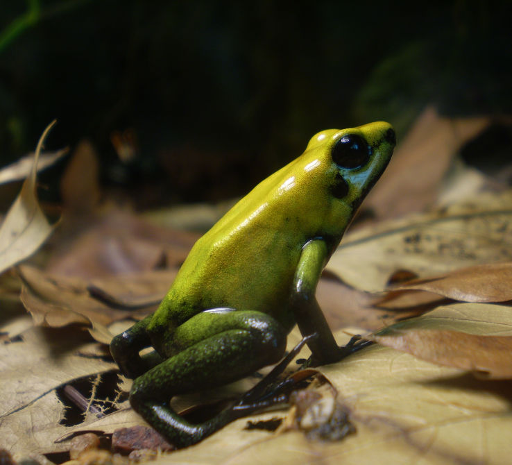 Riga Zoo  Trip Packages