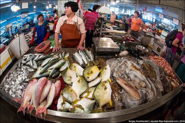 Fish Market Trip Packages
