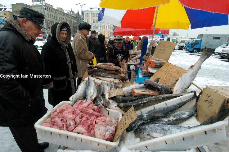 Fish Market Trip Packages
