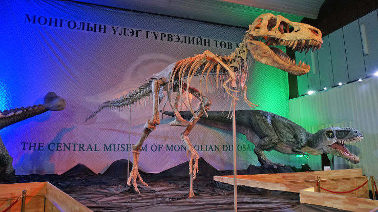 Central Museum of Mongolian Dinosaurs  Trip Packages