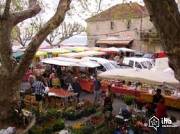 Marche Gambetta Trip Packages