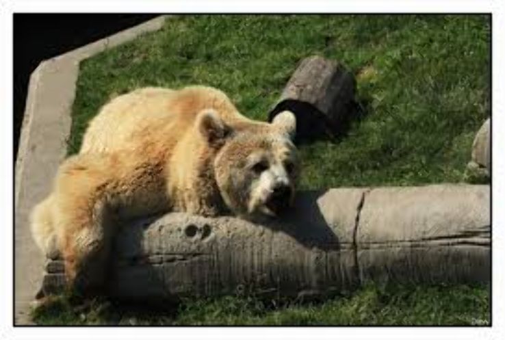Fort Mardyck Zoological Park  Trip Packages