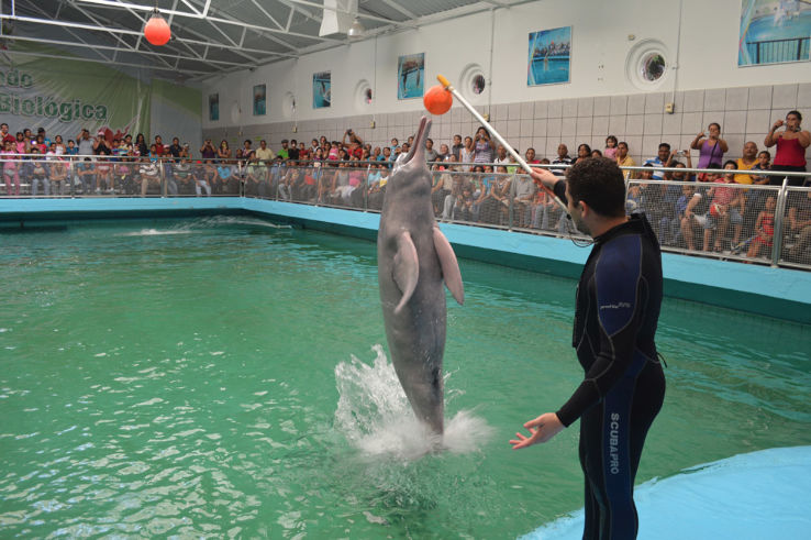 Valencias Aquarium Trip Packages