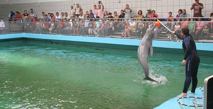 Valencias Aquarium Trip Packages