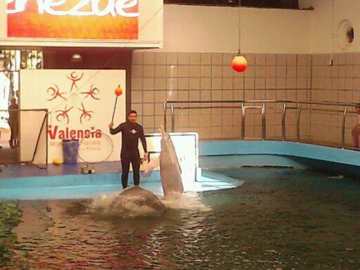Valencias Aquarium Trip Packages