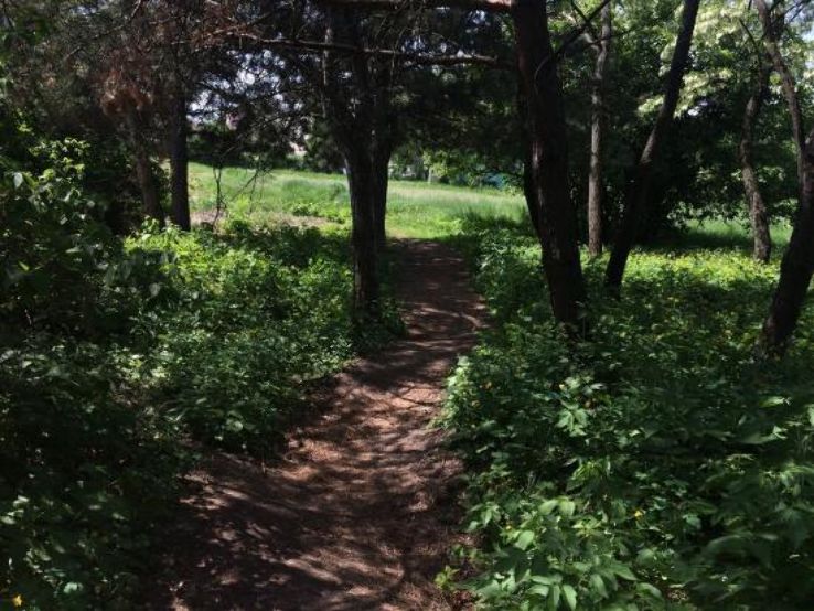 Botanical Garden of Samara State University Trip Packages