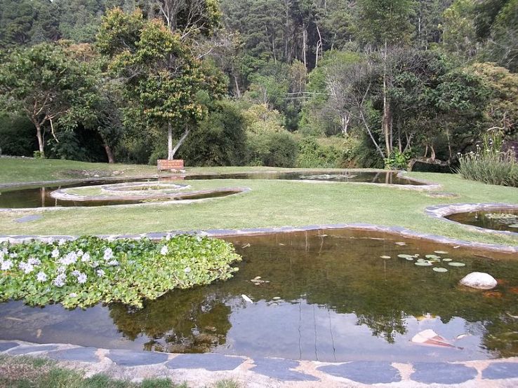 Botanical Garden of Meerida Trip Packages