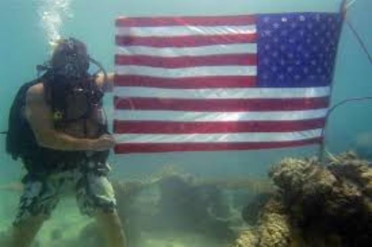  Tropical Aquarium Trip Packages