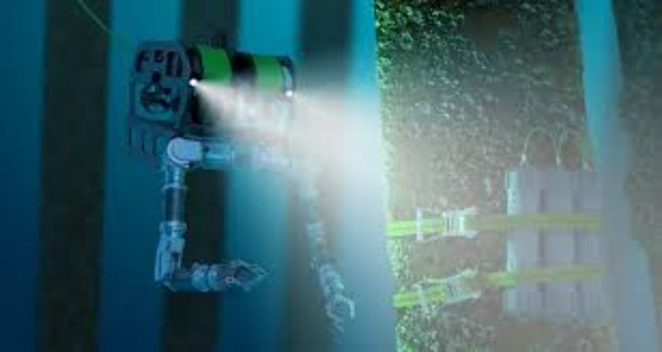  Tropical Aquarium Trip Packages